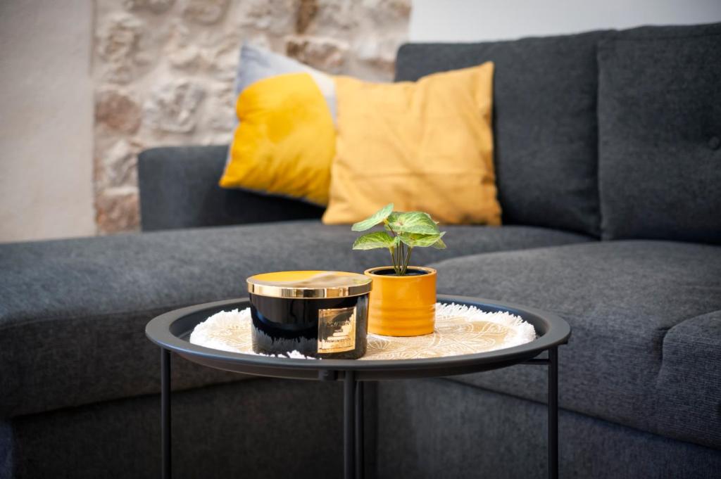 Comfort Studio Carera - 2